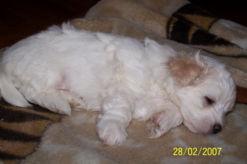 100_1210.jpg