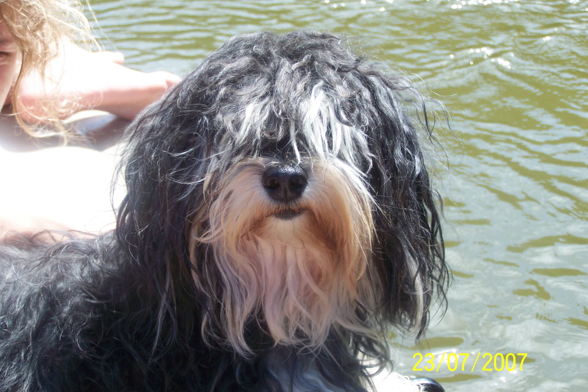 Foto 2.jpg