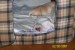 100_1062.jpg