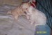 100_1070.jpg