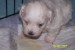 100_1074.jpg