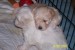 100_1073.jpg