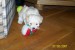 100_1175.jpg